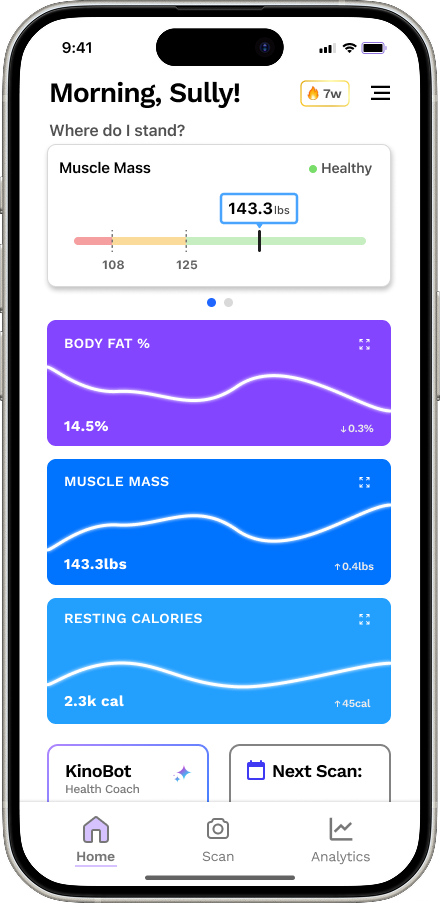 Kino Vision app interface